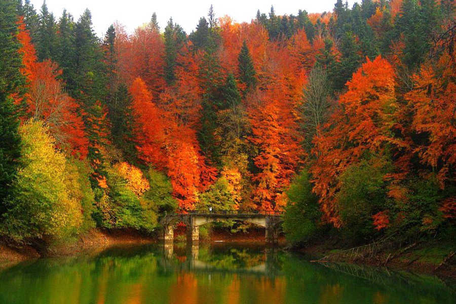 Los 5 Mejores destinos para disfrutar en otoño.