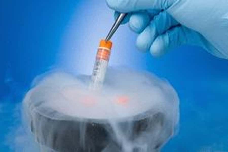 La criopreservación de óvulos es la fórmula para ser madre