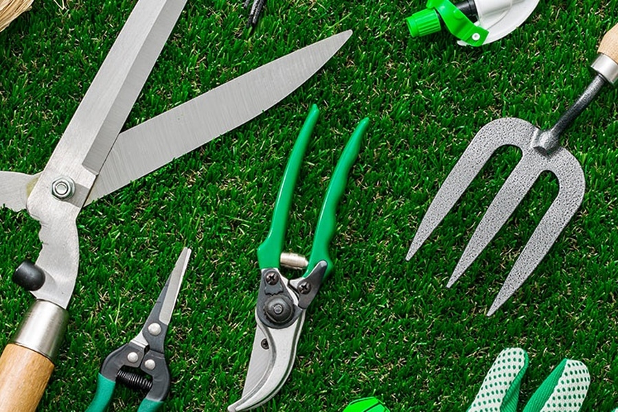 Las herramientas de poda y la importancia en jardinería