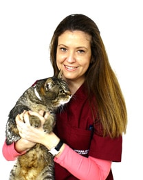 Susana González - gato al veterinario