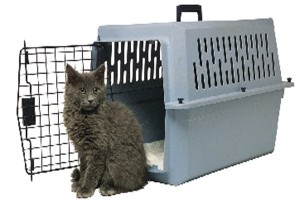 Transportín-gato al veterinario