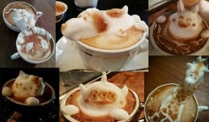 Barista: el arte en un buen café