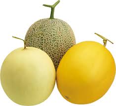 5-frutas-imprescindibles-en-verano-melón
