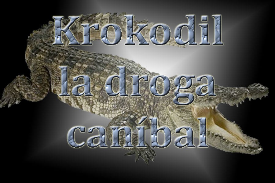 Krokodil: la nueva droga que ha llegado a España - El Titular