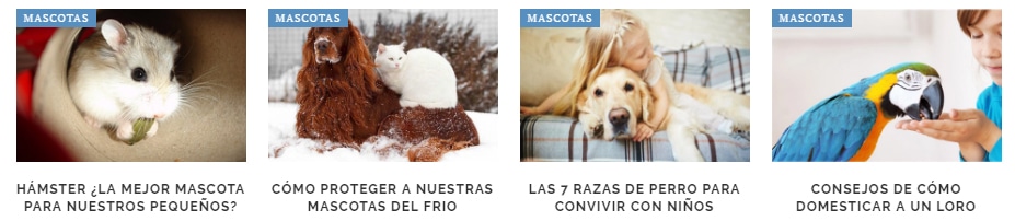 Mascotas http://Eltitular.es