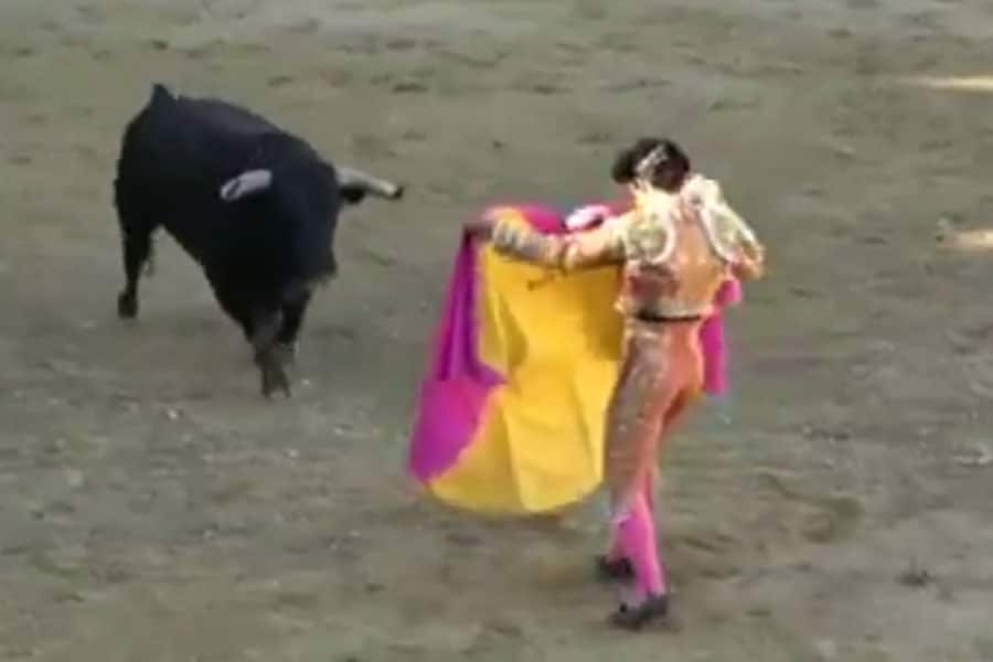 Ivan Fandiño ¿Se deben prohibir las corridas de toros en España?