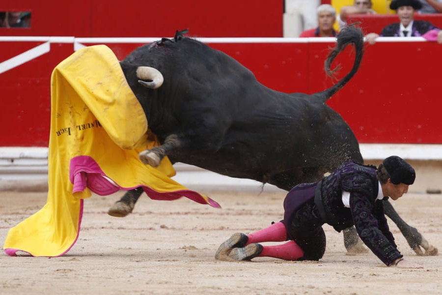 ¿Prohibirías las corridas de toros en España?