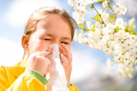 La alergia primavera y los niños