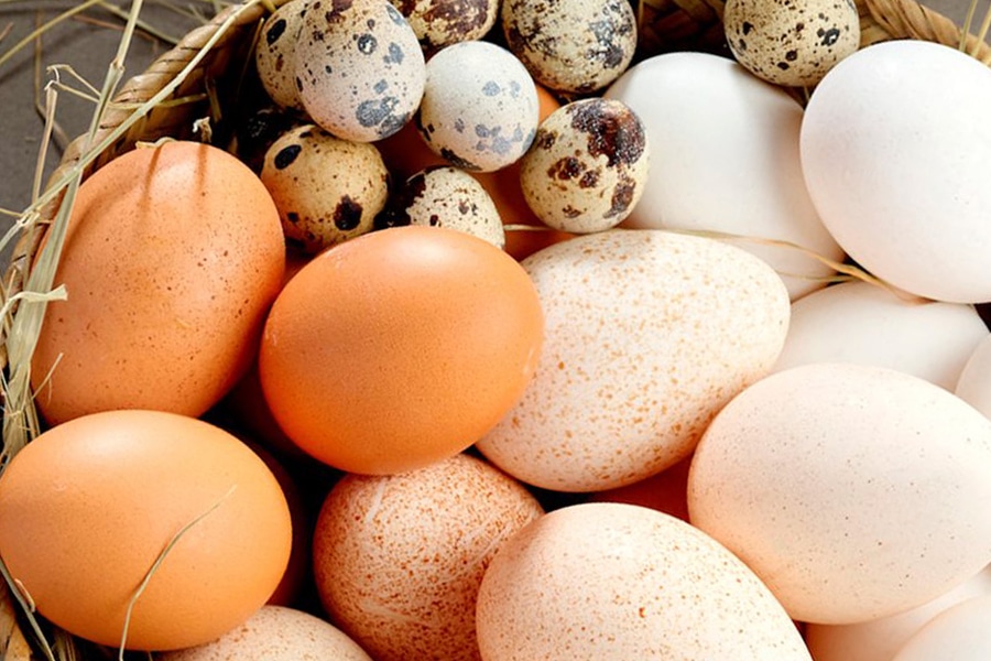 El huevo, un alimento redondo cargado de nutrientes.