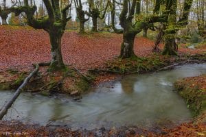 5 Rincones de España para descubrir en otoño-1