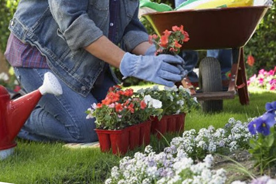 Consejos para el buen mantenimiento de tu jardín