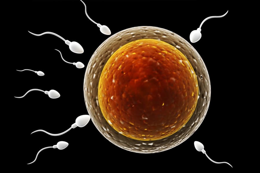 La criopreservación de óvulos es la fórmula para ser madre