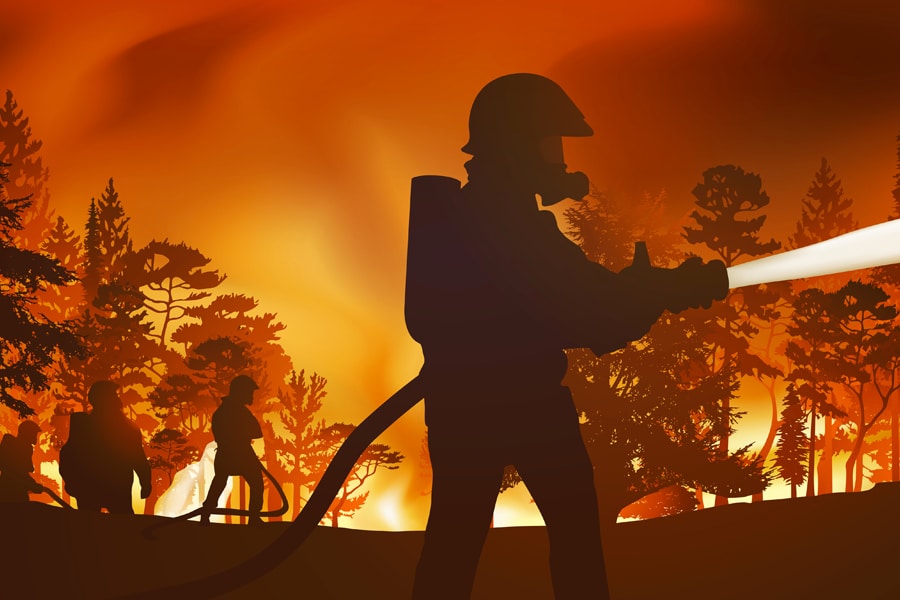 La importancia del desbroce para prevenir incendios
